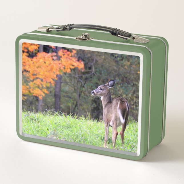 Deer in Autumn Field  Metal Lunch Box (Front)