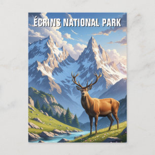 Deer in Écrins National Park France Travel Postcard