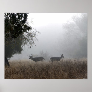 Deer in Fog Poster