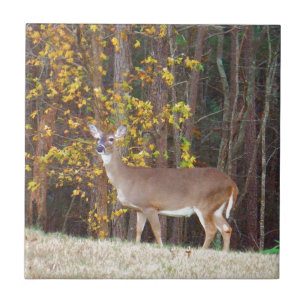 Deer in Front of Yellow Autumn Tree Tile
