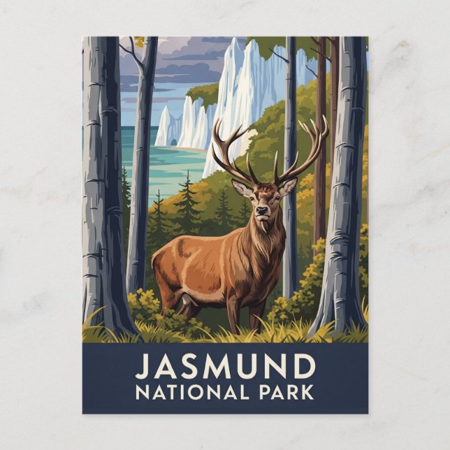 Deer in Jasmund National Park Germany Travel Postcard (Front)