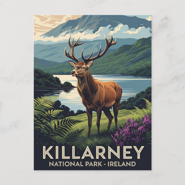 Deer in Killarney National Park Ireland Travel Postcard (Front)