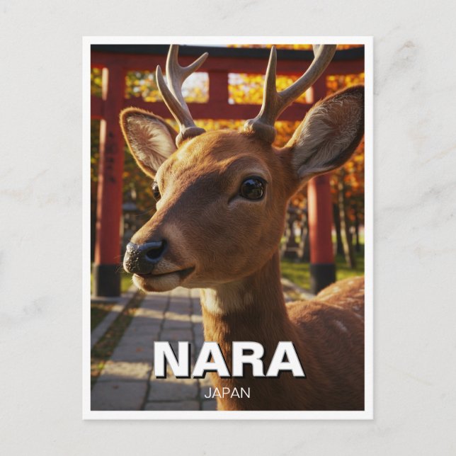 Deer in Nara Park Japan Travel Postcard (Front)