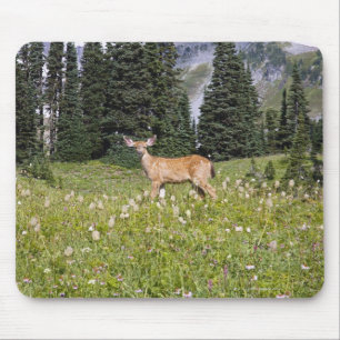 Deer in Paradise Park Mouse Mat