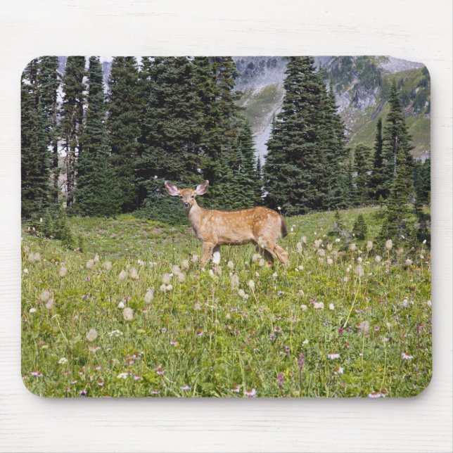 Deer in Paradise Park Mouse Mat (Front)