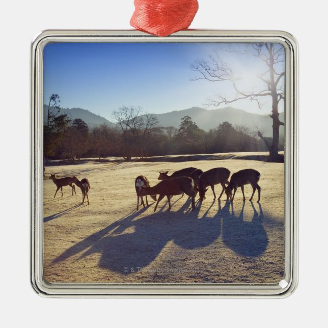Deer in park in Nara, Nara Prefecture, Japan Metal Tree Decoration (Front)