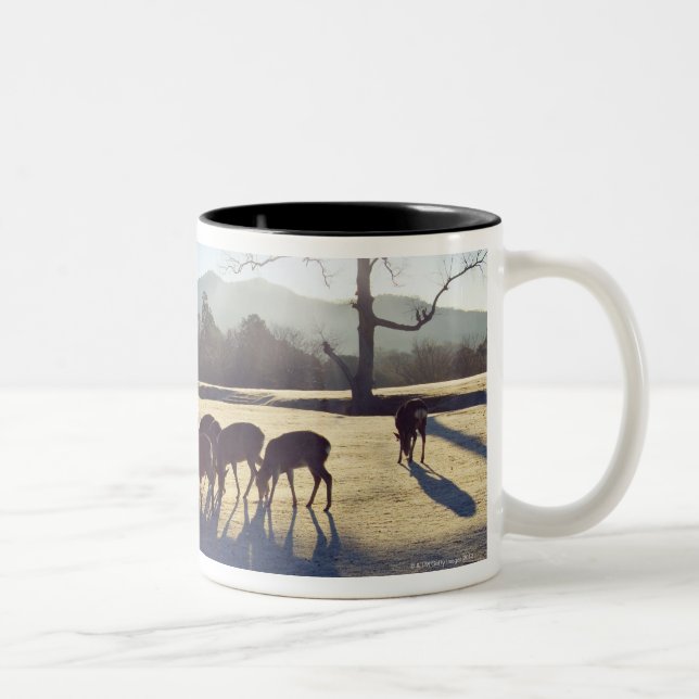 Deer in park in Nara, Nara Prefecture, Japan Two-Tone Coffee Mug (Right)