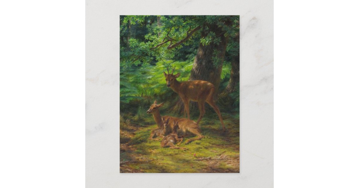 Deer in Repose by Rosa Bonheur Postcard Zazzle