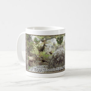 Deer In Rocky Mountain National Park mug