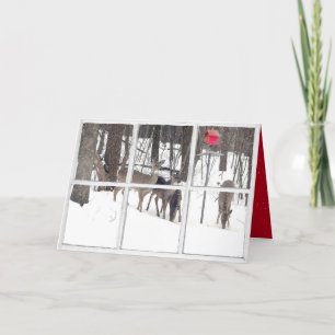 deer in snow and red birdhouse in snowflake window card