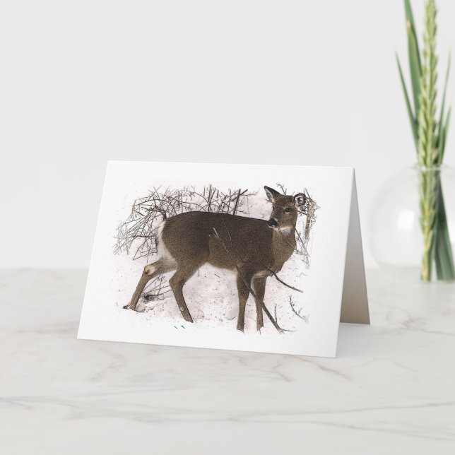 Deer in Snow Dia del Padre Card (Front)