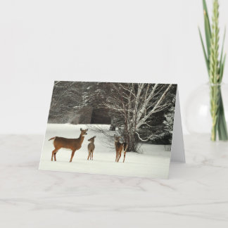 Deer in Snow Greeting Card