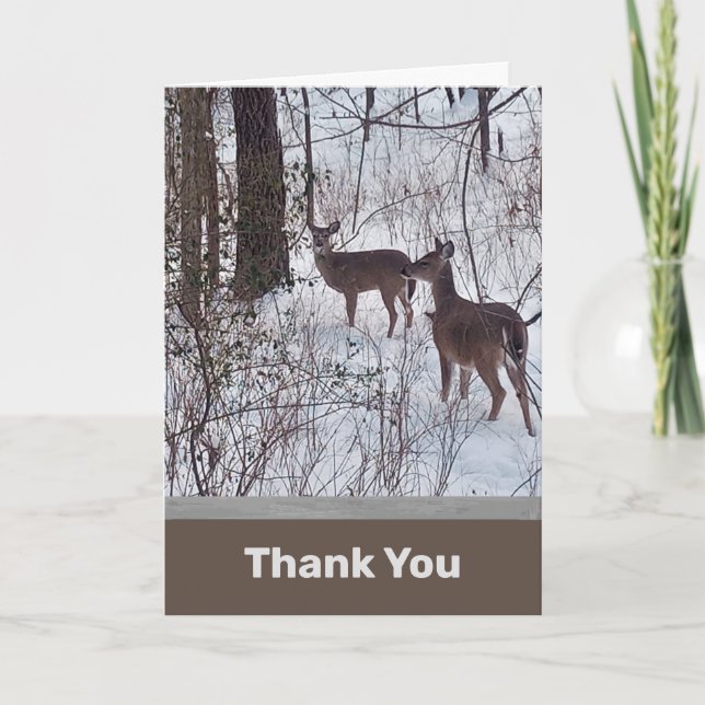 Deer in Snow Photo Thank You Card (Front)