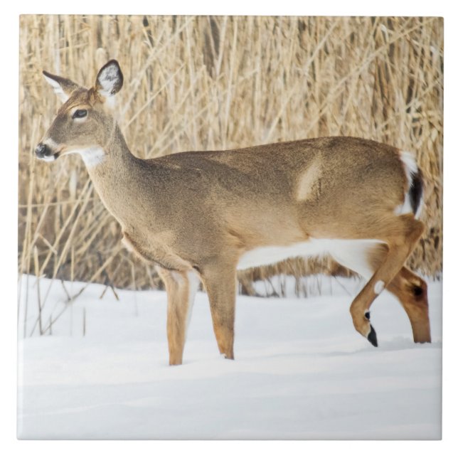 Deer in snow tile (Front)