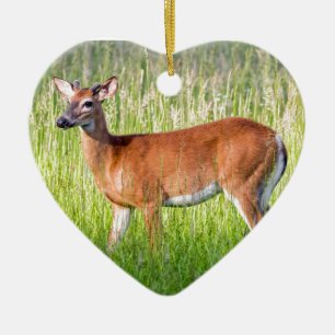 Deer In Tall Grass Ceramic Tree Decoration