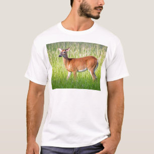 Deer In Tall Grass T-Shirt