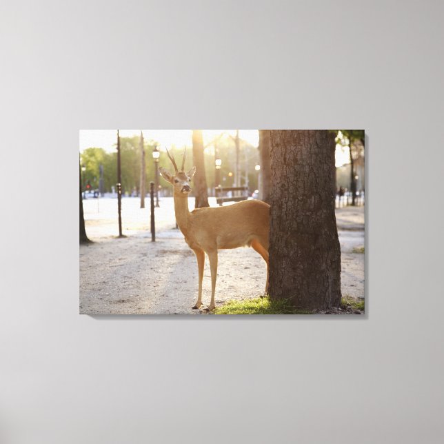Deer in the city canvas print (Front)
