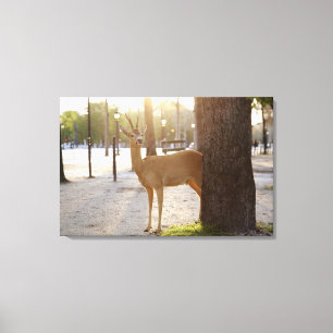 Deer in the city canvas print