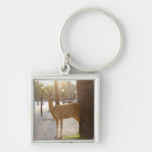 Deer in the city key ring