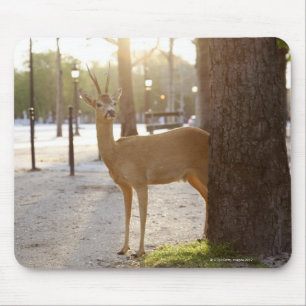 Deer in the city mouse mat
