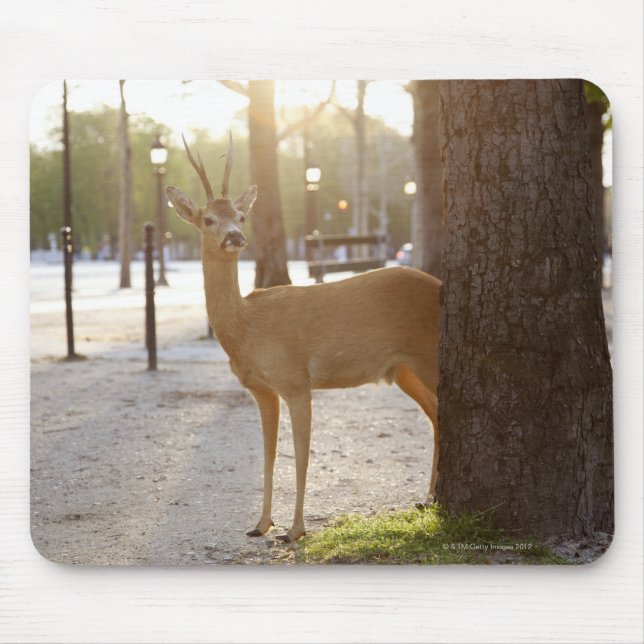 Deer in the city mouse mat (Front)