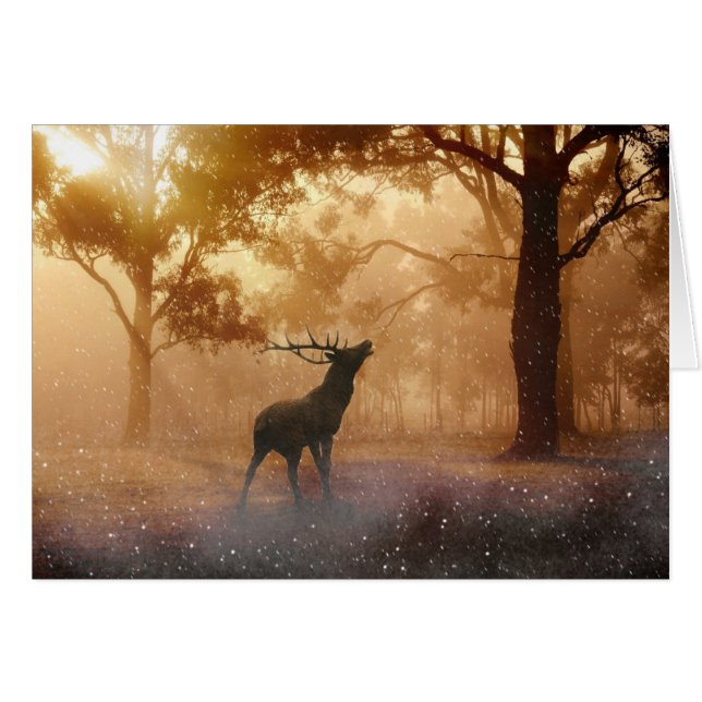 Deer In The Forest (Front Horizontal)