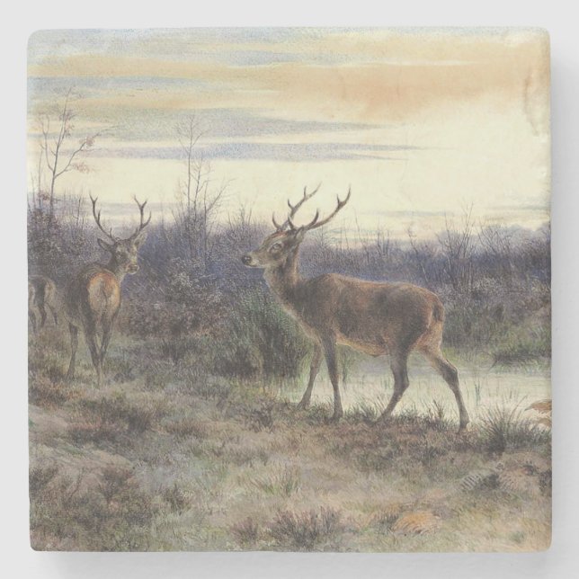 Deer in the Forest at Fontainebleau (Rosa Bonheur) Stone Coaster (Front)