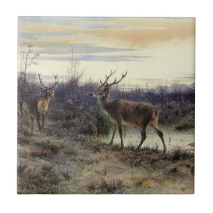 Deer in the Forest at Fontainebleau (Rosa Bonheur) Tile