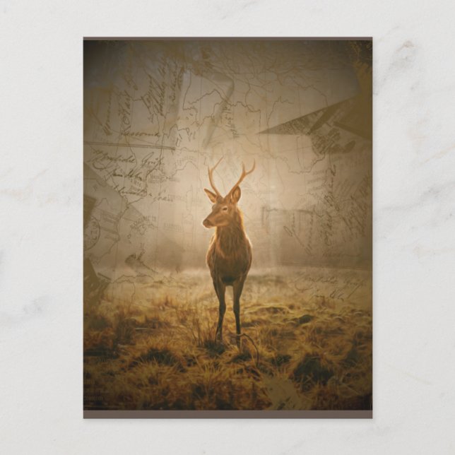 Deer in the forest postcard (Front)