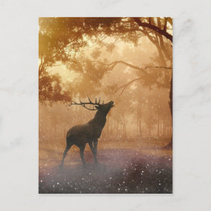 Deer In The Forest Postcard