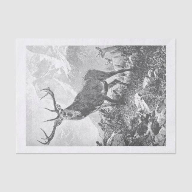 Deer in the High Mountains Tissue Paper (Front)