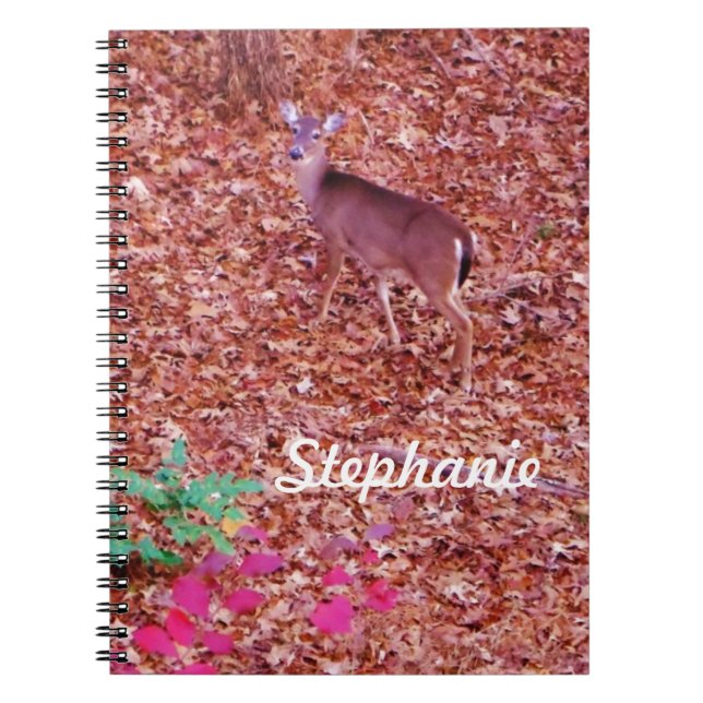 Deer in the leaves notebook (Front)