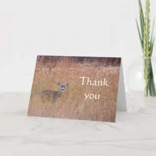 Deer in the meadow thank you card