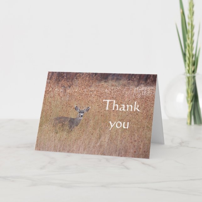 Deer in the meadow thank you card (Front)