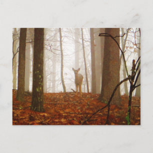 Deer in the Mist Postcard