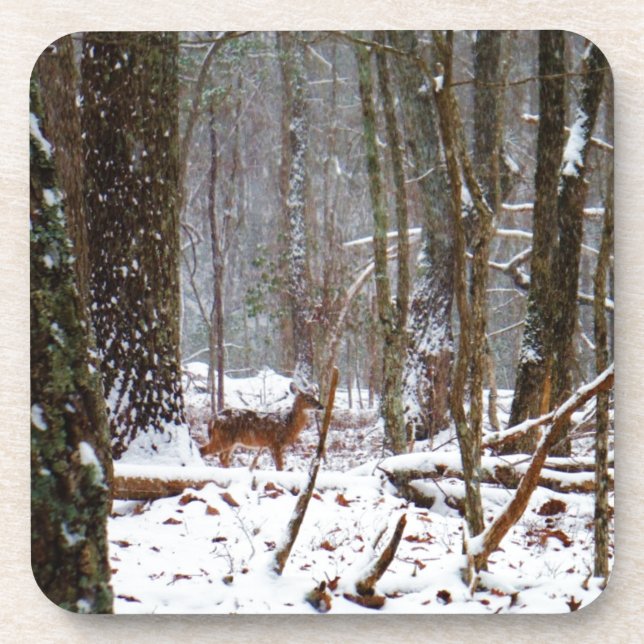 Deer in the snow fall coaster (Front)