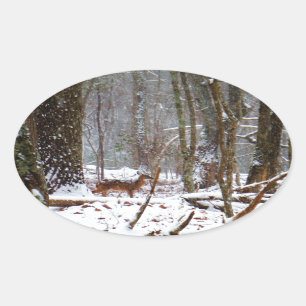 Deer in the snow fall oval sticker