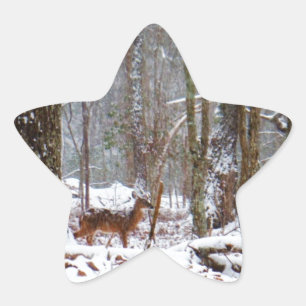 Deer in the snow fall star sticker