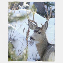 Deer In The Snow