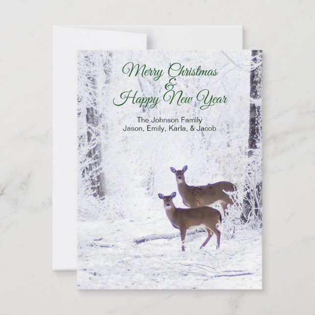 Deer in the Snow Holiday Greeting Card (Front)