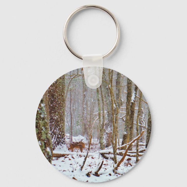Deer in the snow, licking key ring (Front)