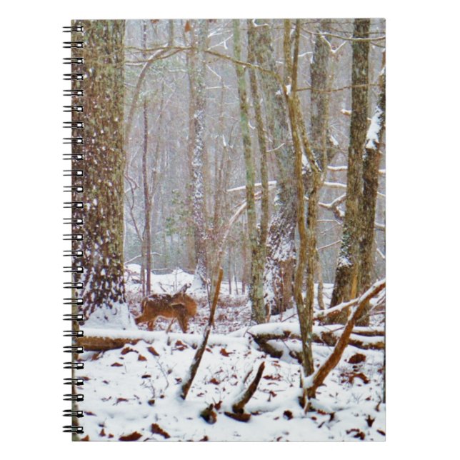 Deer in the snow, licking leg notebook (Front)