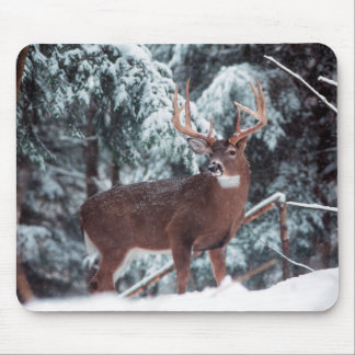 Deer in the Snow Mousepad