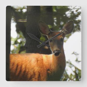 Deer In The Trees Square Wall Clock