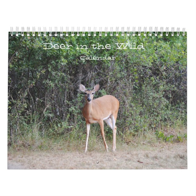 Deer in the Wild Photographic Calendar (Cover)