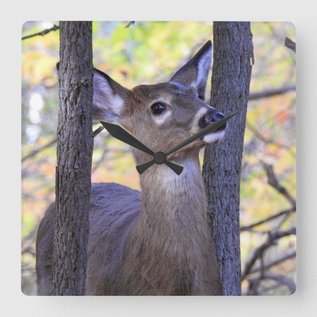 Deer In the Wood Square Wall Clock (Front)