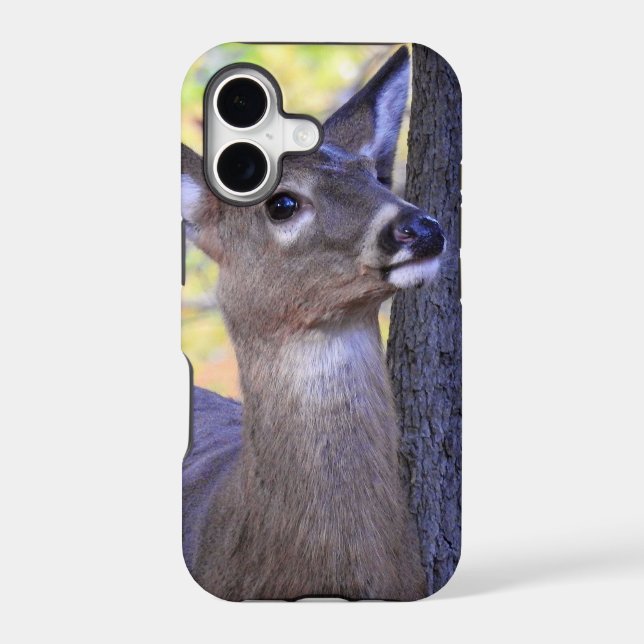 Deer in the Woods (Back)