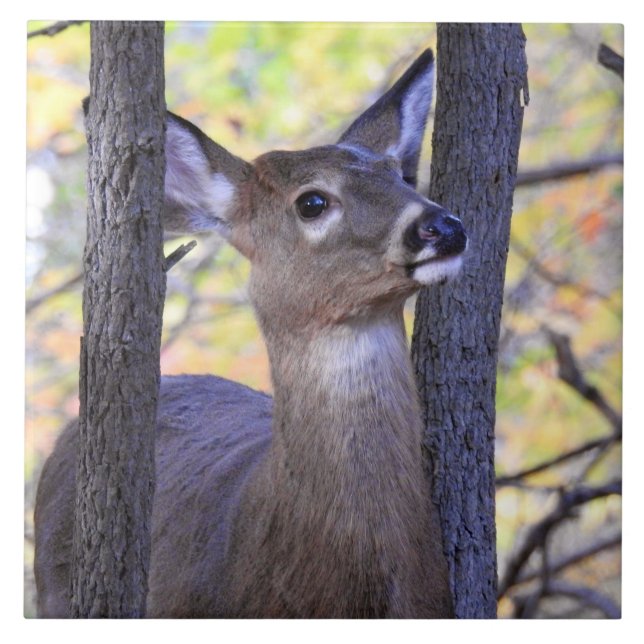 Deer in The Woods Tile (Front)