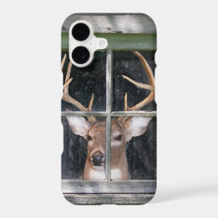deer in window