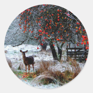 Deer in Winter Classic Round Sticker
